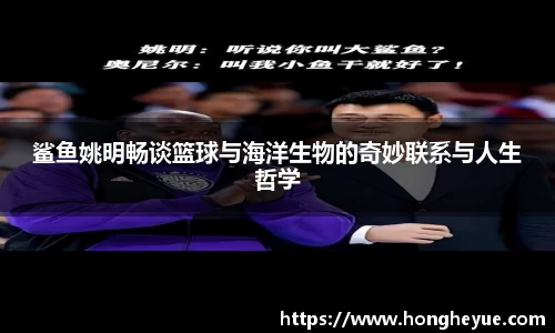 必一运动